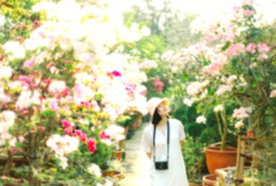 田尾公路花園
