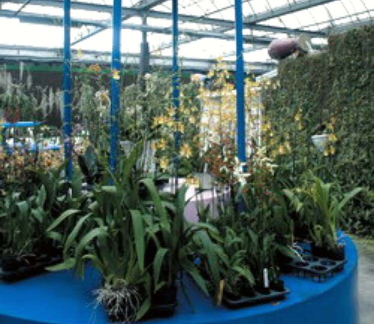 展壯台大蘭園