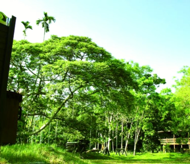 大丘園休閒農場