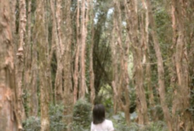 香山森林