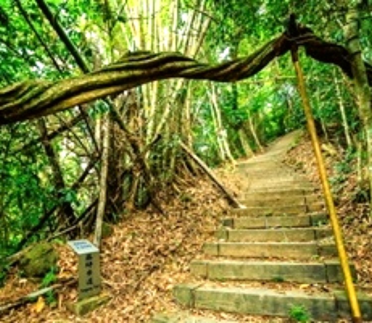 藤坪古道
