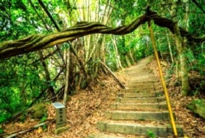 藤坪古道