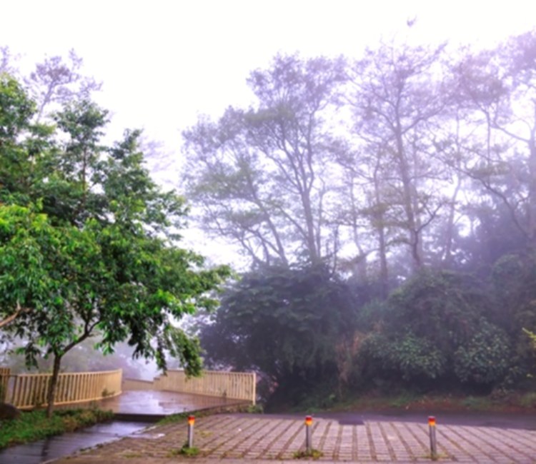 雲霧步道
