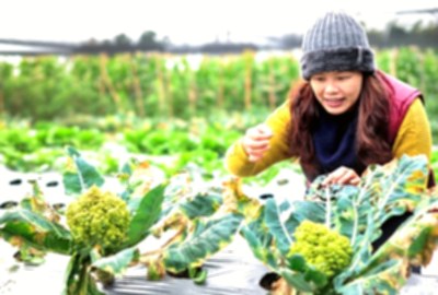親親果農場