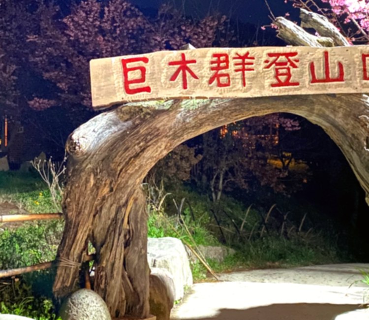 司馬庫斯巨木群步道