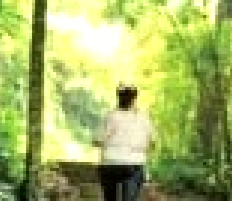 茶亭古道