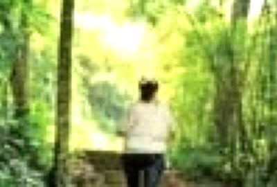 茶亭古道