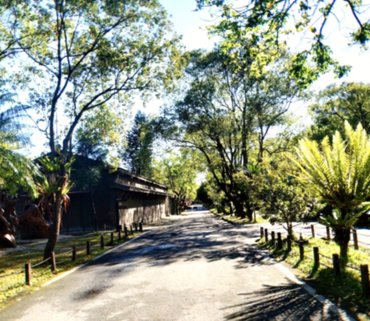 林田山林業文化園區