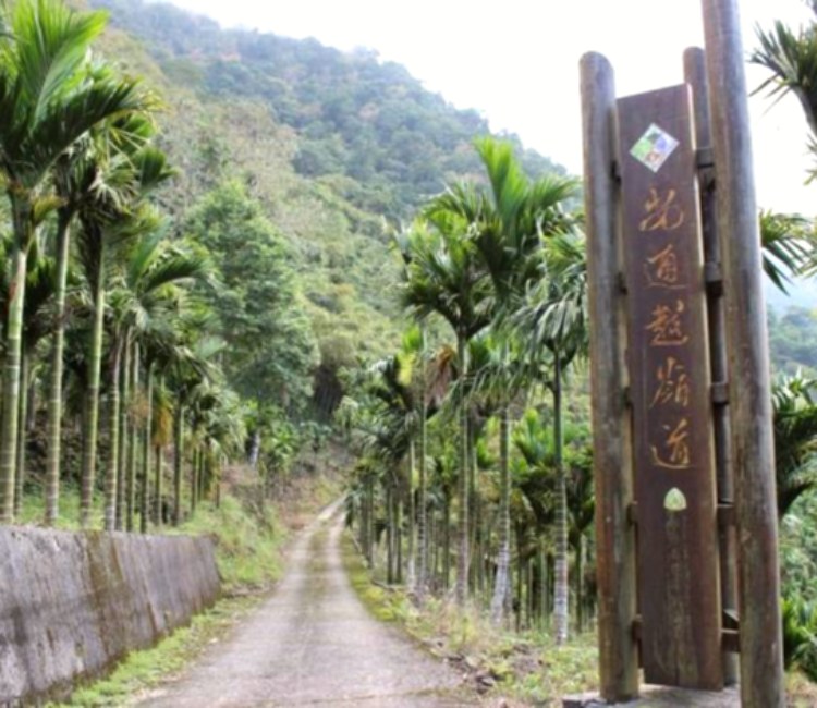 安通越嶺道 探訪百年古道之境