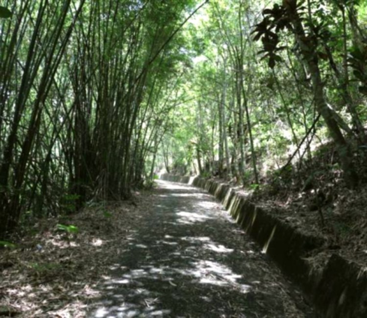 虎頭山步道 親子同遊踏青趣