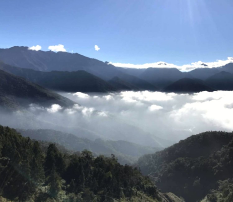 藤枝國家森林遊樂區