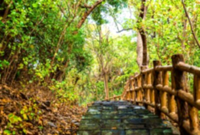 洲仔濕地公園