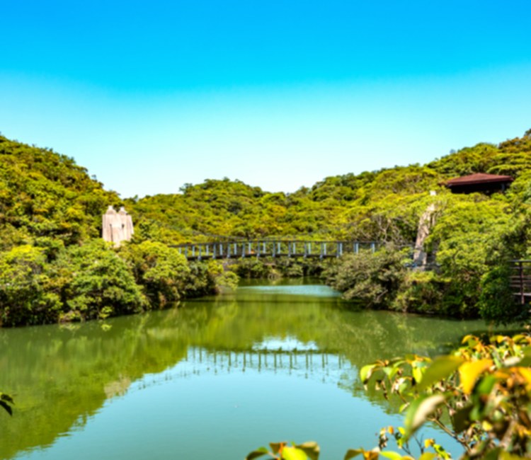 情人湖公園