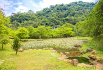 苓蘭生態農園