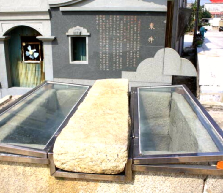 東林東井