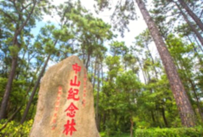 中山紀念林