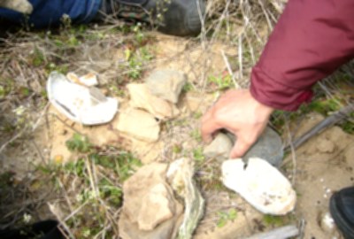 熾坪隴考古遺址