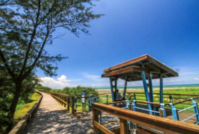 濱海森林公園