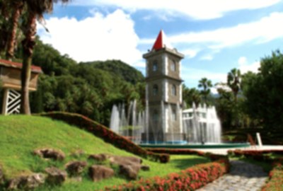 楓香巨木群公園