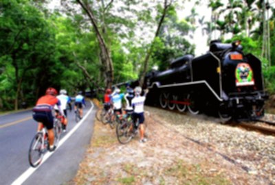 集集自行車道-綠色隧道段