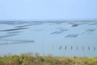 七股潟湖