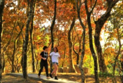 紅葉公園
