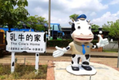 乳牛的家