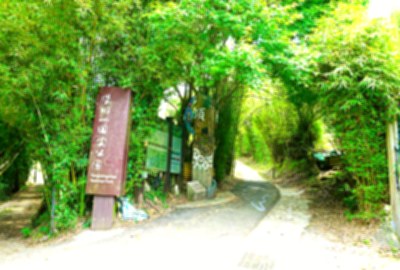 擎天崗系_坪頂古圳步道