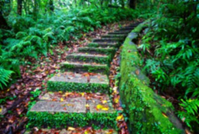 南港山系_更寮古道親山步道