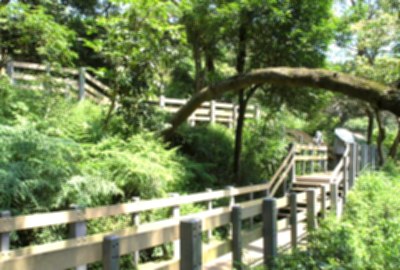 南港山系_虎山親山步道