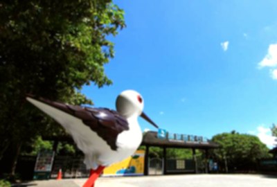 關渡自然公園