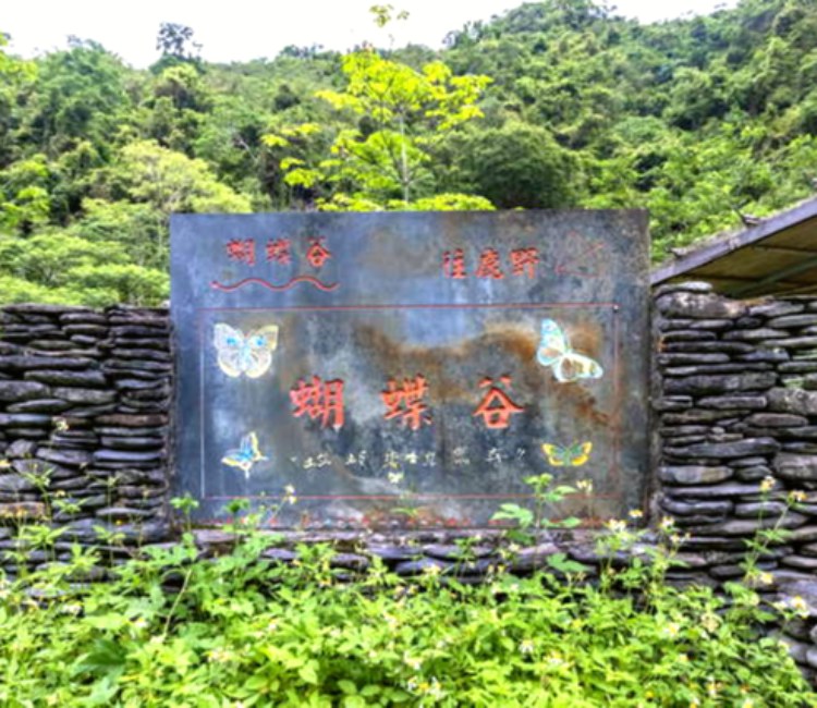 桃源村蝴蝶谷