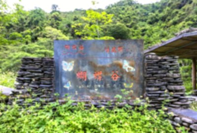 桃源村蝴蝶谷