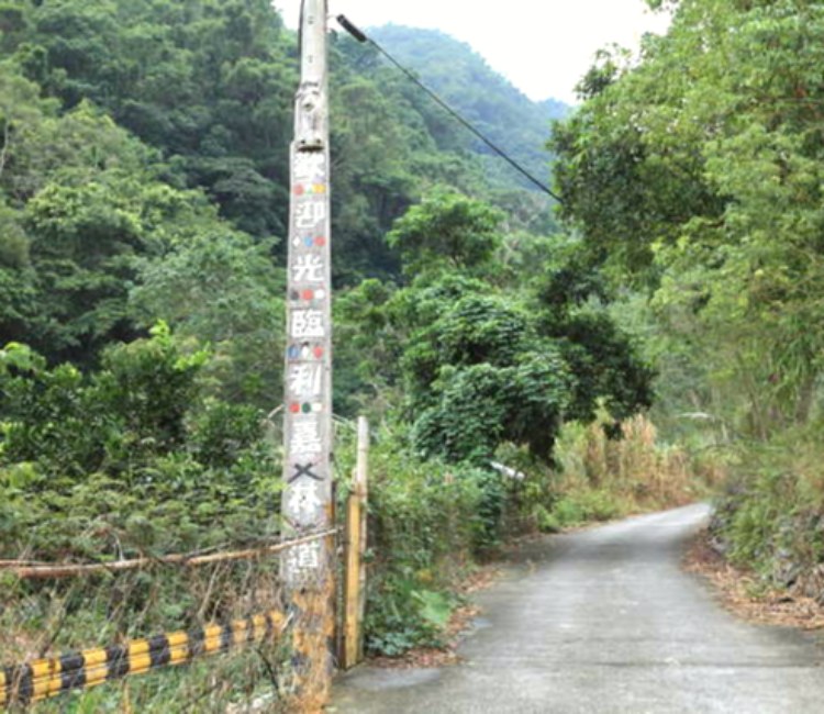 利嘉林道
