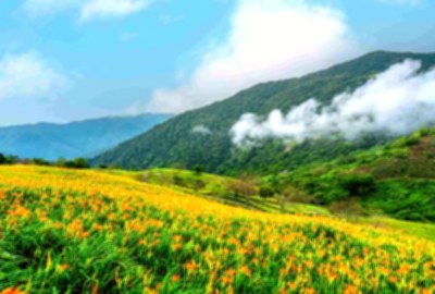 太麻里金針山