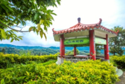 龍潭三水里茶園