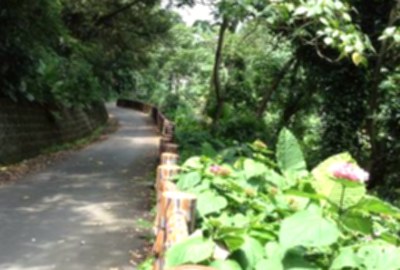 御成路古道