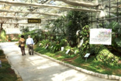 金車礁溪蘭花園